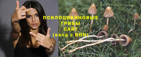 марихуана Заводоуковск