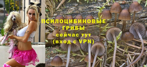 стаф Заволжск