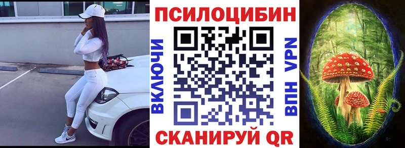 Купить где  Чаплыгин  Галлюциногенные грибы Magic Shrooms 